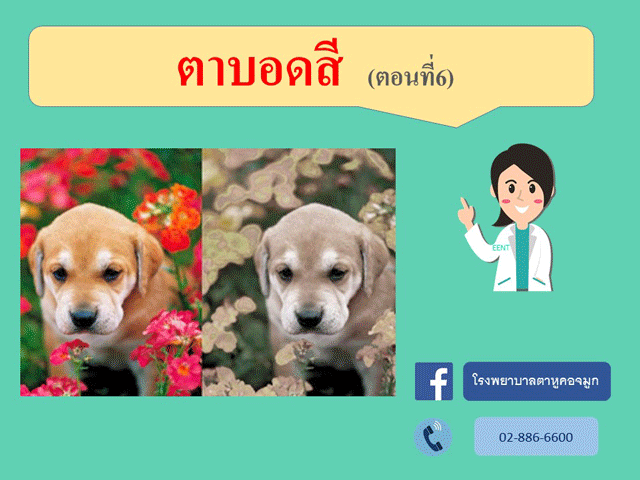 ตาบอดสี