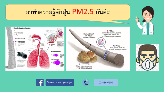 มารู้จัก
