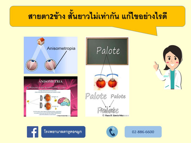 มาด้วยกัน